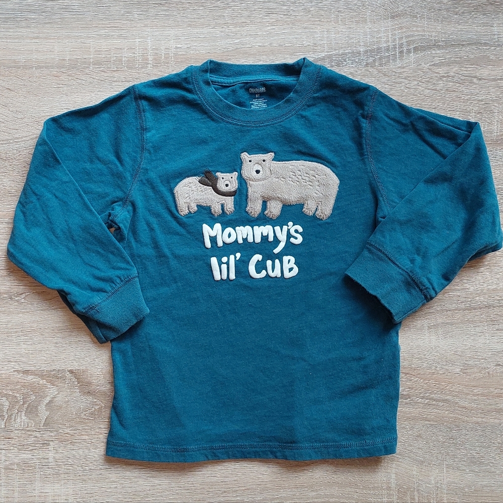 Gymboree 5T bear / hedgehog tees - Picture 7 of 16